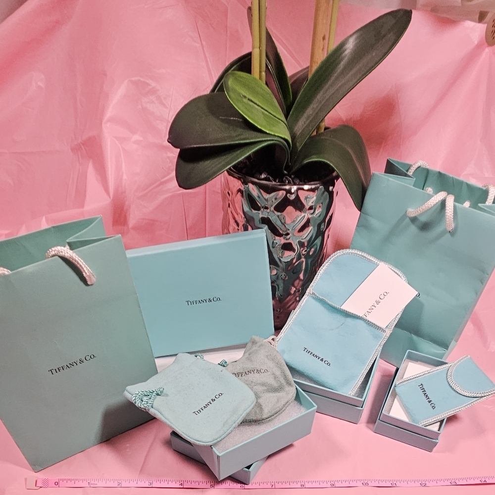Tiffany & Co. 🩵 Small Gift Boxes & Jewelery Bags